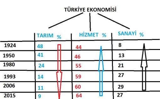  Türkiye ekonomisnin sektörel dağılımı